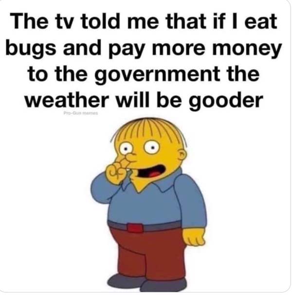 Gooder bugs...