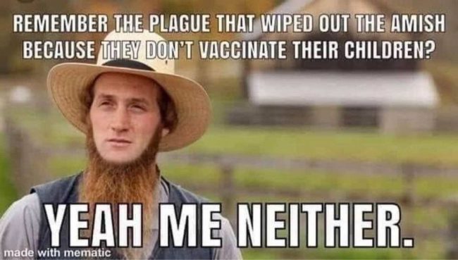 Amish Plague?