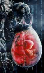Embryon - la Matrice