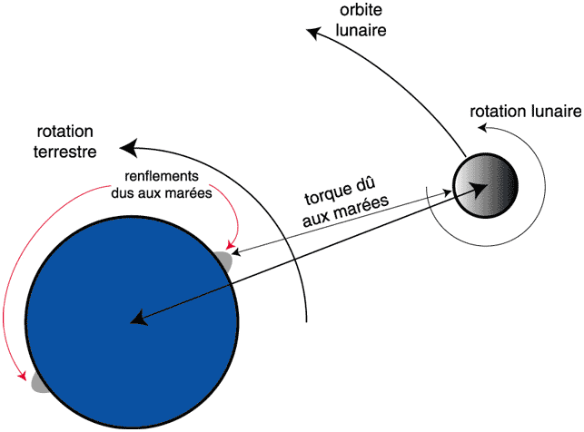 Sytème Terre-Lune = marées