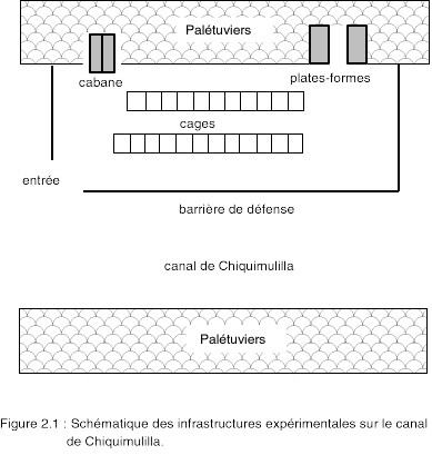 Schéma du site