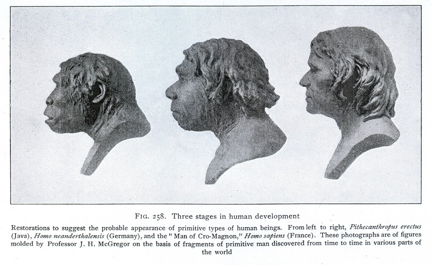 Néanderthal à Cro Magnon